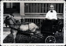 Boy in Goat-Drawn Cart