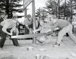 Beta Bunyan Ball: Four Men, Two Using Crosscut Saw to Cut Log