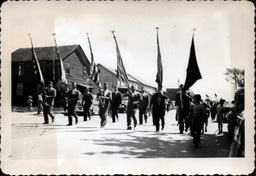 Flag-Bearing Soldiers in Parade