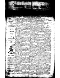 Sunday Morning Star, 1891-02-08