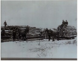 Men Hauling Logs with Horses