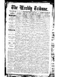 The Weekly Tribune, 1893-08-31