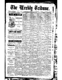 The Weekly Tribune, 1893-07-13