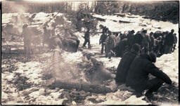 Resting Crowd in Snow