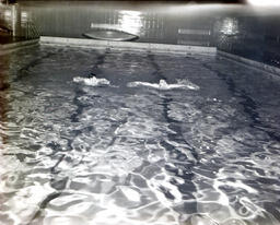 (153-05) Swimming Team: Two Swimmers Tread Water