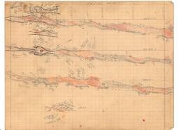 Champion Mine Sublevels South 42-44 Geologic Survey Maps (6 of 9)