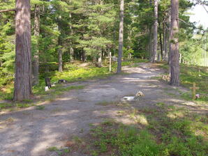 Boot Hill Cemetery (Seney, Michigan)