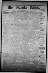 The Escanaba Tribune, 1870-06-11