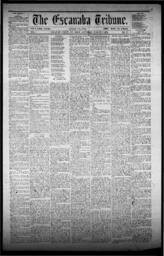 The Escanaba Tribune, 1871-08-05