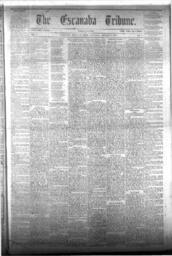 The Escanaba Tribune, 1873-01-11