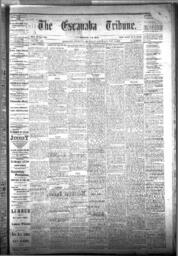 The Escanaba Tribune, 1877-05-19