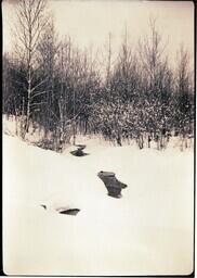 (023-003) River and Forest in Winter (1 of 2)