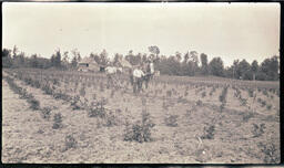 Farmers and Horse