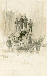 Thompson Logging Collection