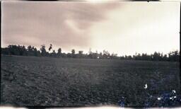 Empty Field Landscape