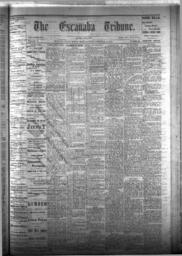 The Escanaba Tribune, 1875-11-20