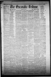 The Escanaba Tribune, 1872-01-06