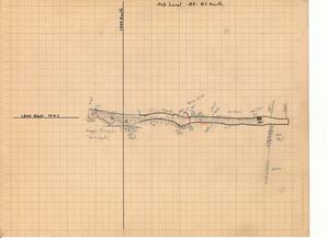 Champion Mine Sublevels South 38-40 Geologic Survey Maps