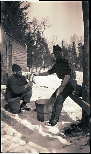 Unknown Lumber Camp Negatives