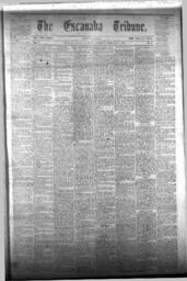 The Escanaba Tribune, 1873-02-08