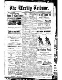 The Weekly Tribune, 1893-06-29