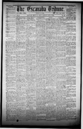 The Escanaba Tribune, 1871-06-17