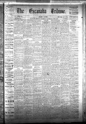 The Escanaba Tribune, 1877-06-02