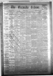 The Escanaba Tribune, 1876-02-26