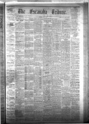 The Escanaba Tribune, 1875-01-30