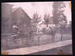 Woman in Horse-Drawn Cart