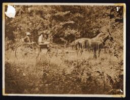 Tom Wilcox and Unknown Man in Horse-Drawn Cart