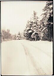 (023-012) Road in Forest in Winter (2 of 3)