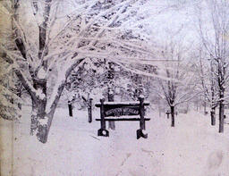 (416-01) Outside winter scenes