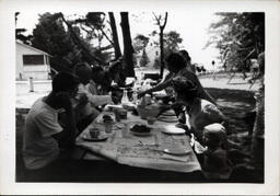 Picnic in the Park