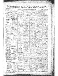 Manistique Semi-Weekly Pioneer, 1895-11-20