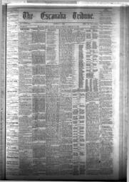 The Escanaba Tribune, 1875-02-27