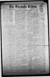 The Escanaba Tribune, 1871-12-30