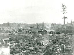 View of Iron Mountain's Chapin Mine facing east