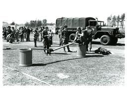 Man Looking at Makeshift Bridge between Two Trash Cans (Part of the NMU Historic Photographs Collection)