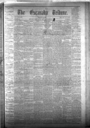 The Escanaba Tribune, 1875-06-05