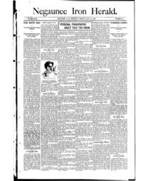 Negaunee Iron Herald, 1904-07-15