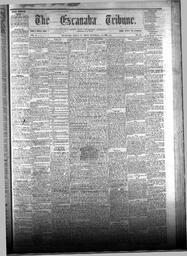 The Escanaba Tribune, 1874-05-16