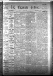 The Escanaba Tribune, 1876-03-04