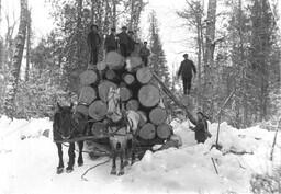 Crew loading logs