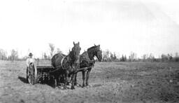 Seeding oats