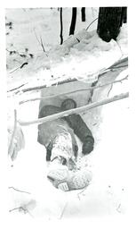 Man Lying in Snowy Dug Out (Part of the NMU Historic Photographs Collection)