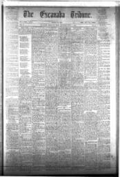 The Escanaba Tribune, 1873-07-19