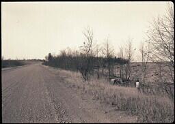 (106-003) Road next to Union Bay