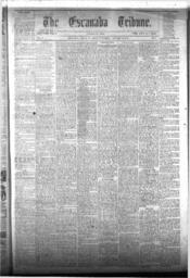 The Escanaba Tribune, 1873-01-18