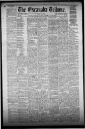 The Escanaba Tribune, 1872-06-01